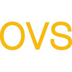 OVS Italy