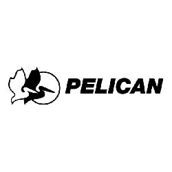Pelican