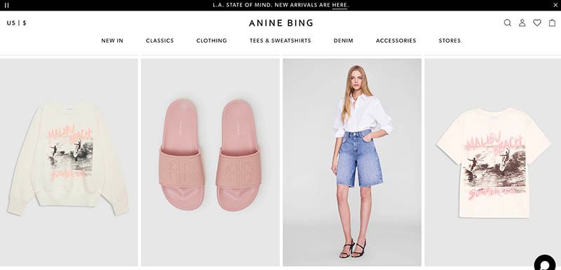 Anine Bing