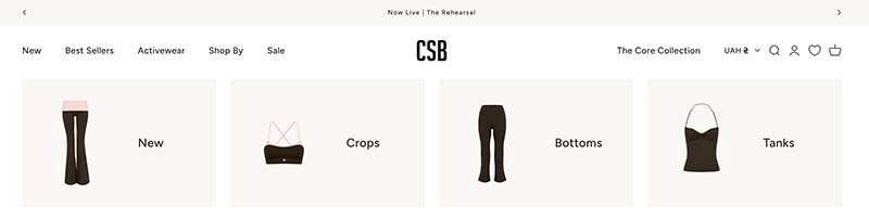 CSB